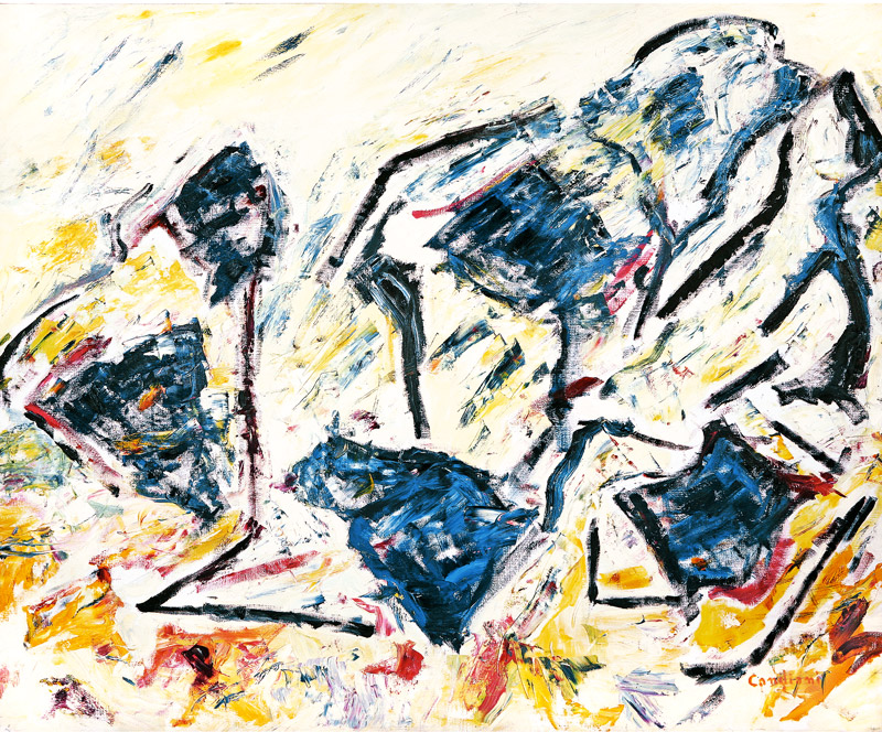 Vedretta a volo d'uccello, 2007