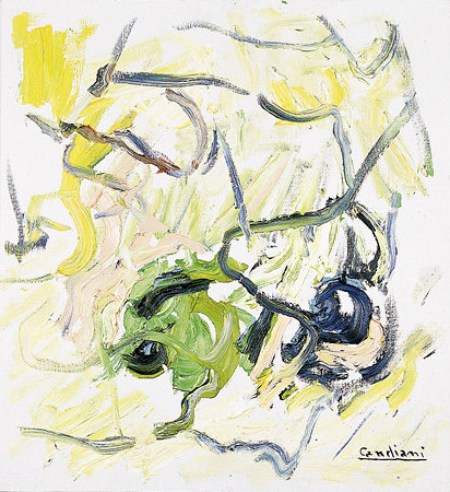 Aggregazione 2, 1996